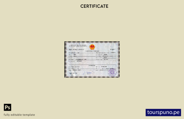 listo para imprimir plantilla de plantilla PSD de certificado de defunción de Vi